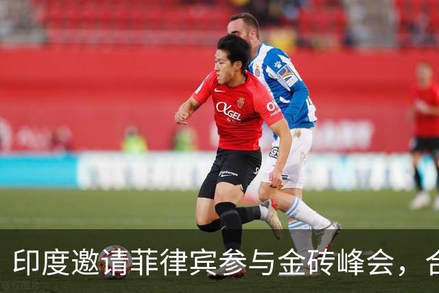 印度邀请菲律宾参与金砖峰会，合作与挑战并存